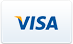 online visa payments