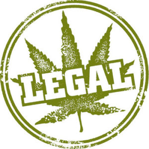 42063549 - trademarking legal marijuana 